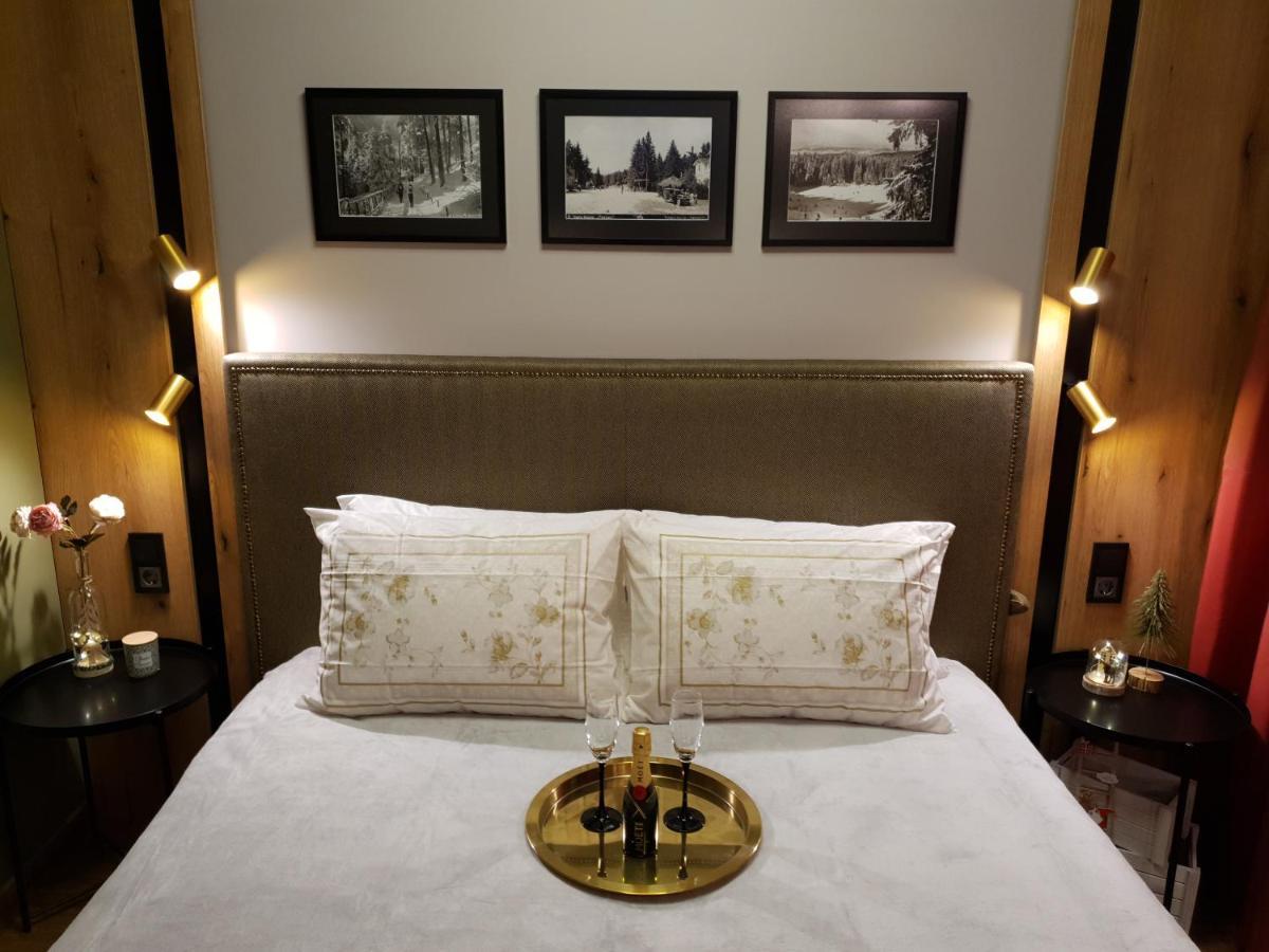 Pinewood Ang Luxurious Apartment A32 Borowec Zewnętrze zdjęcie