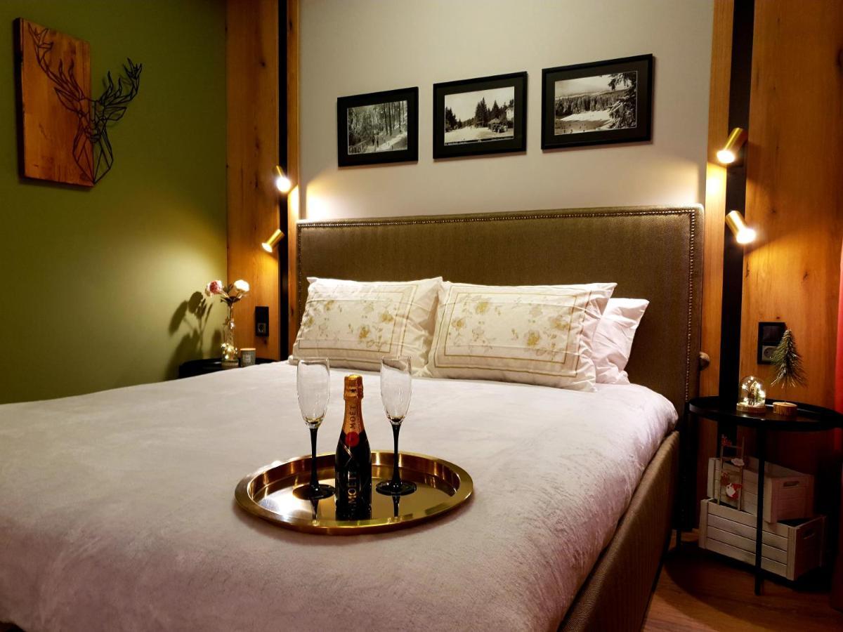 Pinewood Ang Luxurious Apartment A32 Borowec Zewnętrze zdjęcie