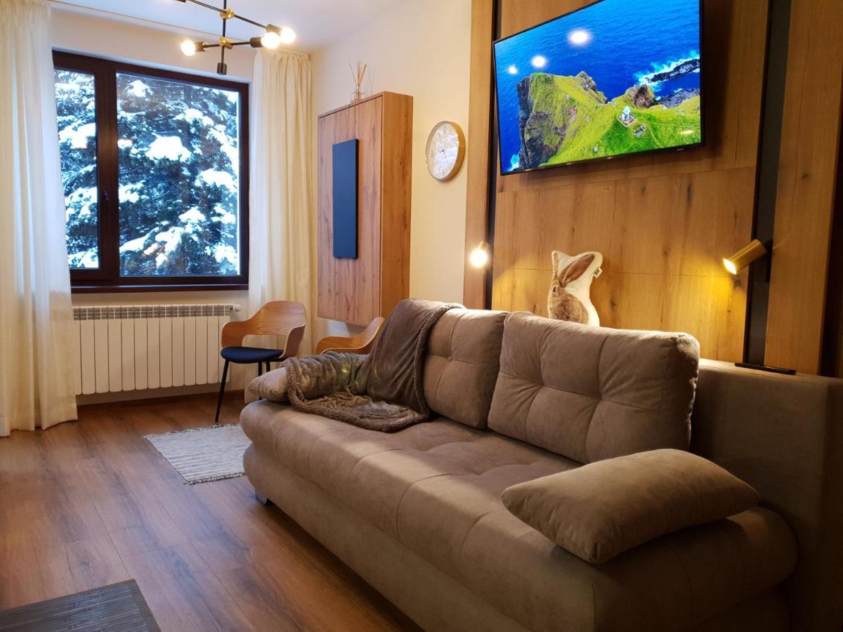 Pinewood Ang Luxurious Apartment A32 Borowec Zewnętrze zdjęcie