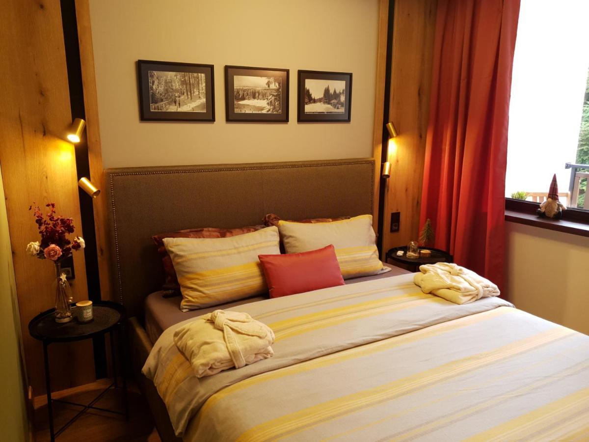 Pinewood Ang Luxurious Apartment A32 Borowec Zewnętrze zdjęcie
